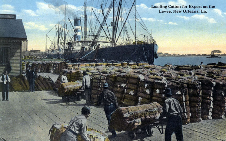 Loading cotton, port, New Orleans, circa 1900